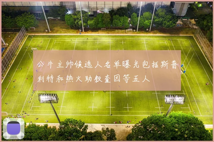 公牛主帅候选人名单曝光包括斯普利特和热火助教奎因等五人
